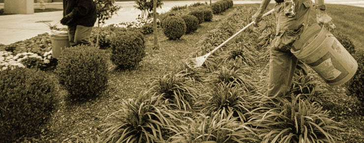 manutenzione verde condominiale