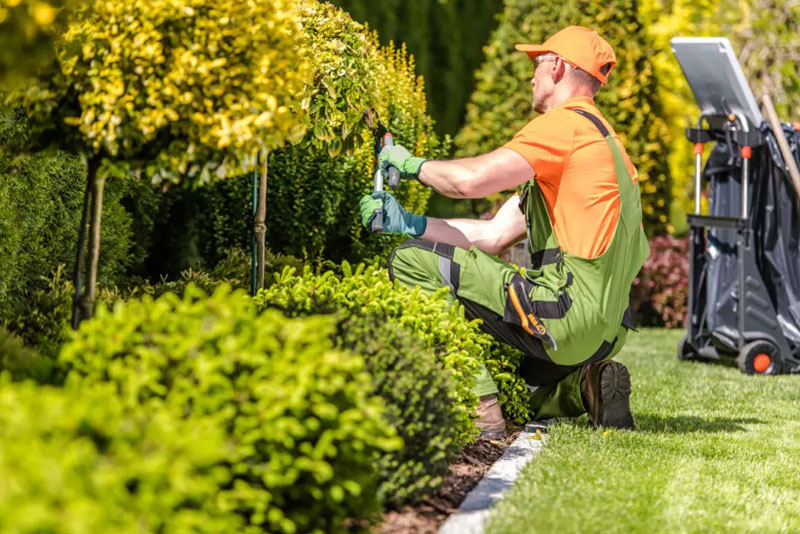 cura del verde e manutenzione giardini