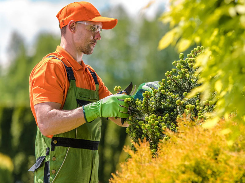 manutenzione aree verdi condiminiali